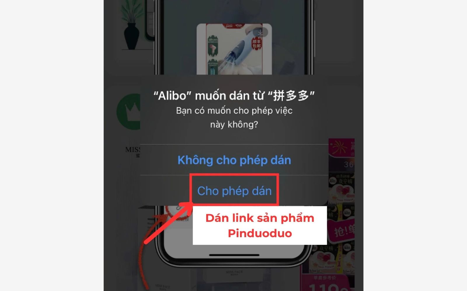 Cho phép dán để kiểm tra mã giảm giá