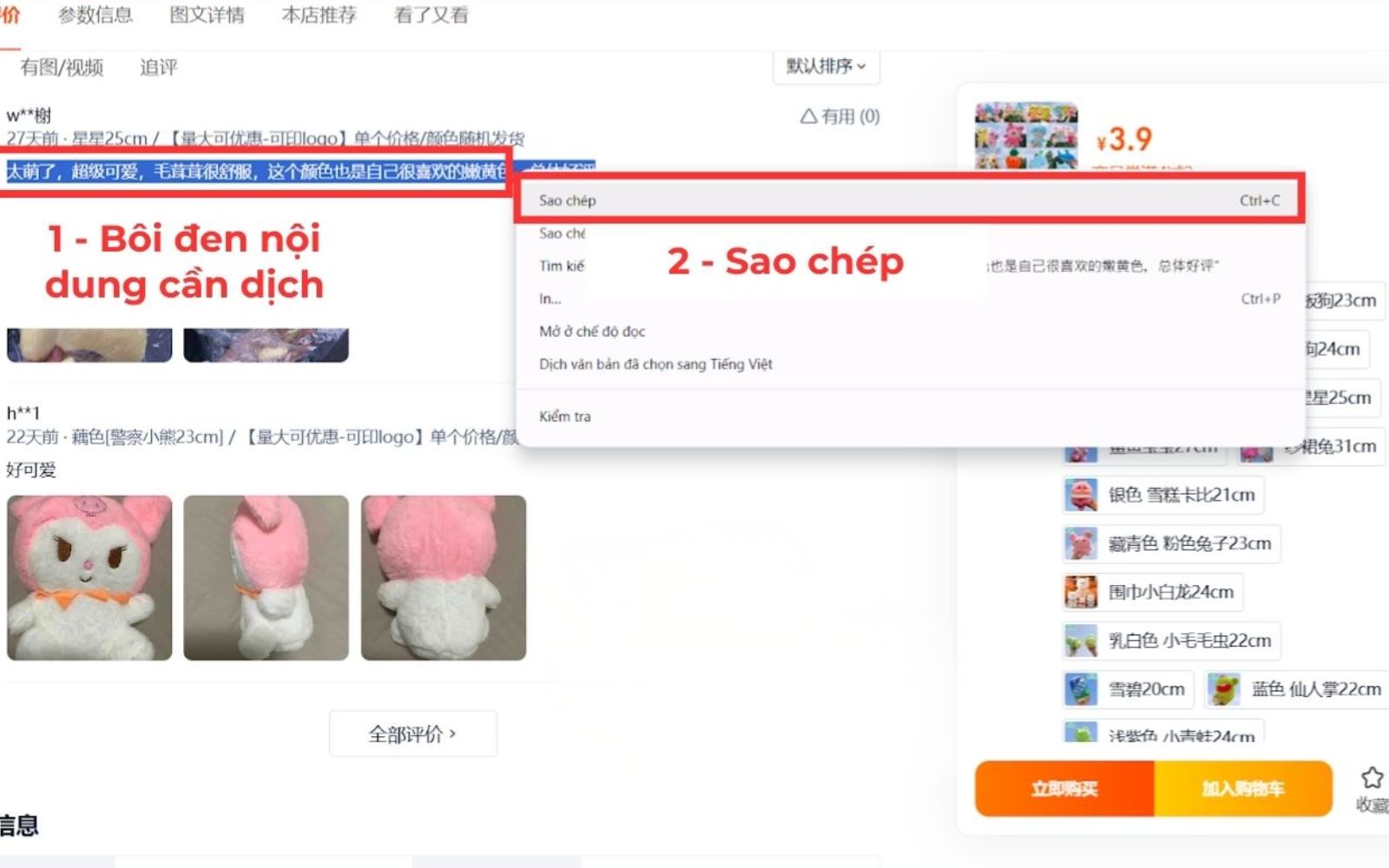 Sao chép đoạn văn bản cần dịch