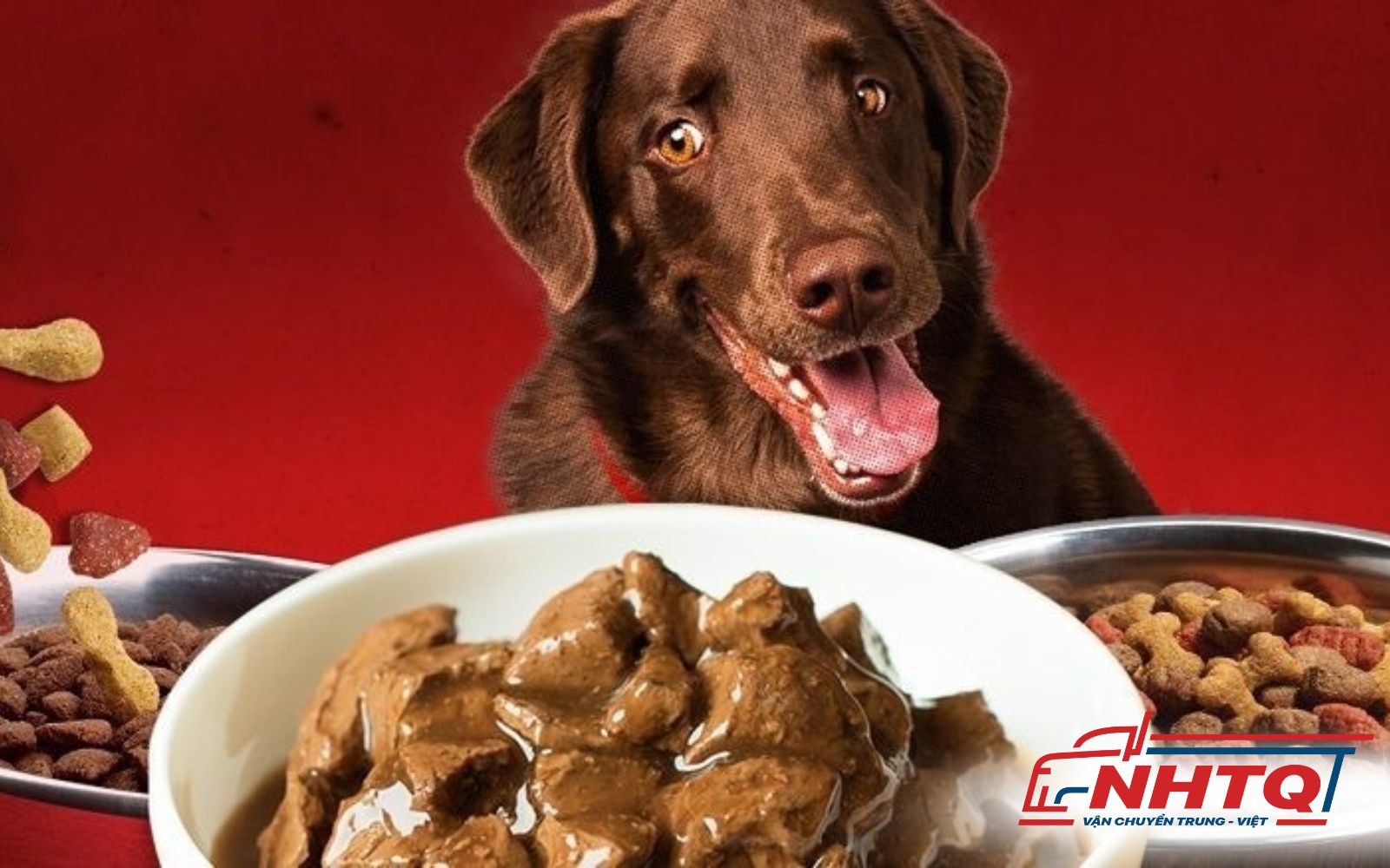 Thức ăn bán ẩm