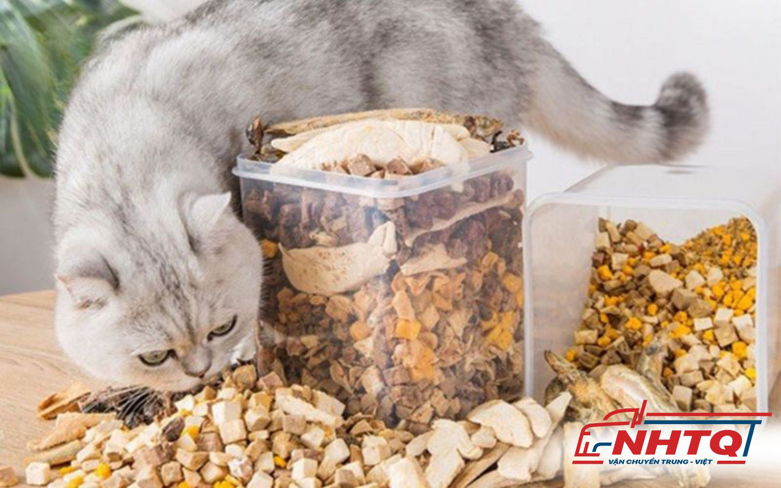 Tổng quan thị trường thức ăn thú cưng tại Việt Nam