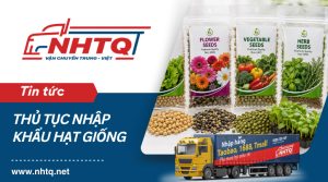 Thủ tục nhập khẩu hạt giống cây trồng